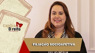 Explica Direito Filiação Socioafetiva  2019 [upl. by Davena445]