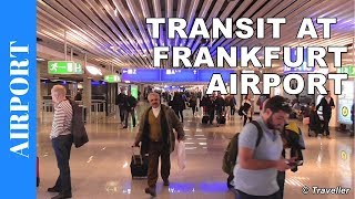 TRANSIT WALK AT FRANKFURT Airport FRA Terminal 1  Connection Flight Transfer Arriving amp Departing [upl. by Sera]